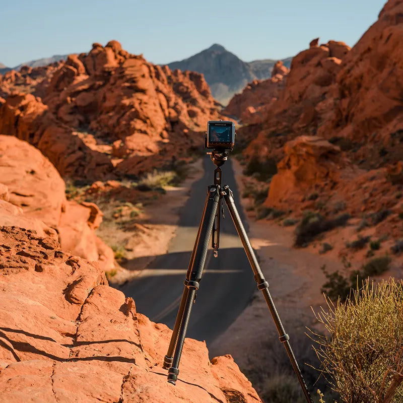 Falcam TreeRoot Quick Lock Travel Tripod (155cm Height, 5kg Load, F38 Quick Release)