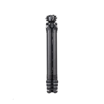 Falcam TreeRoot Quick Lock Travel Tripod (155cm Height, 5kg Load, F38 Quick Release)