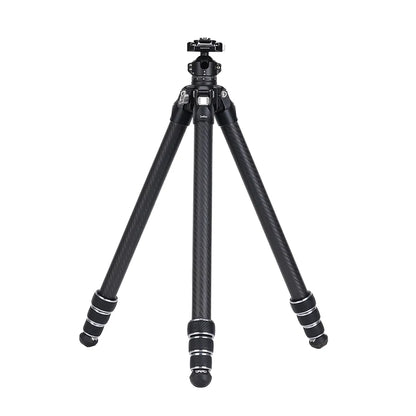 Falcam TreeRoot Quick Lock Lite Travel Tripod (153cm Height, 3kg Load, F38 Quick Release)
