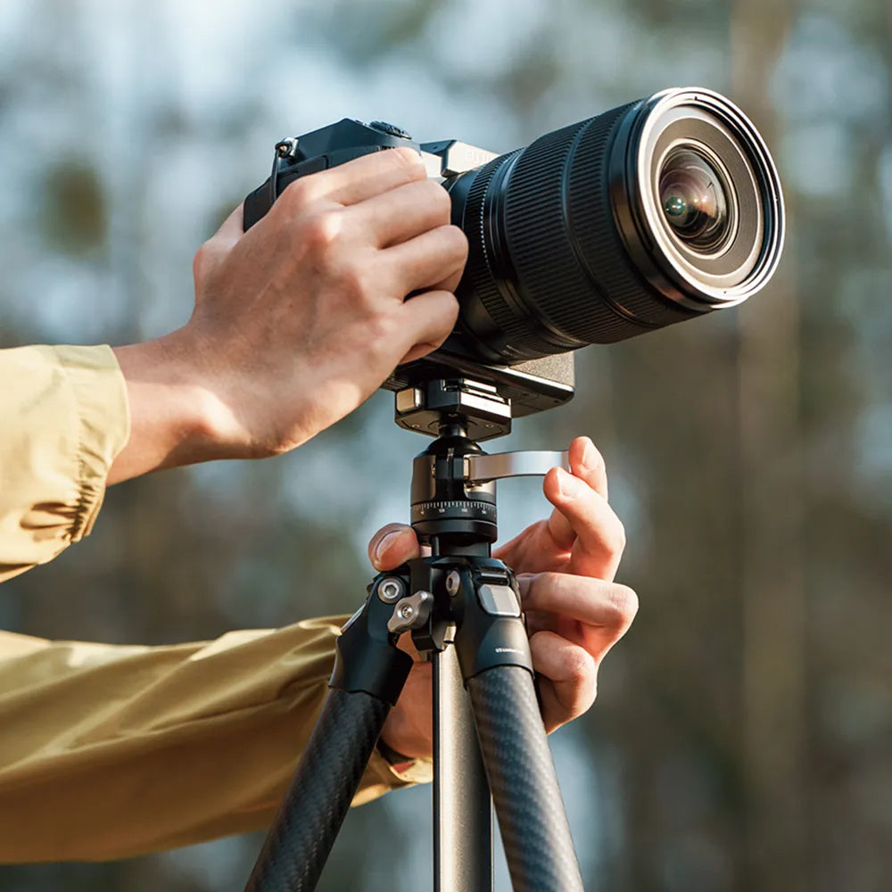 Falcam TreeRoot Quick Lock Lite Travel Tripod (153cm Height, 3kg Load, F38 Quick Release)