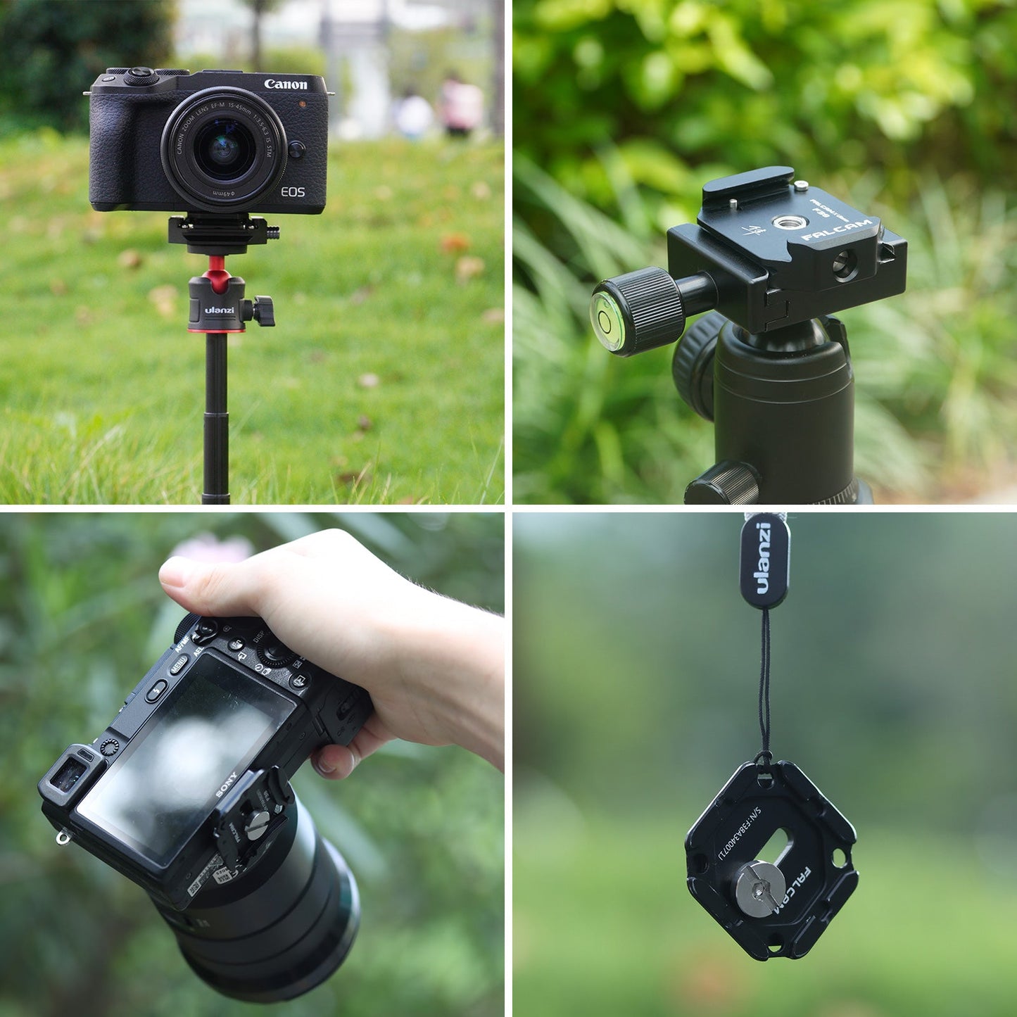 Ulanzi Falcam F38 Quick Release System in use with Canon and Sony cameras, aluminum alloy build.