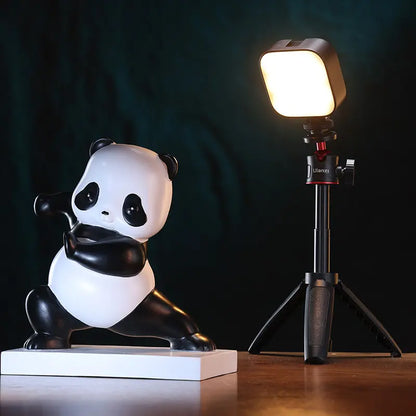 Ulanzi U60 RGB Video Light L027GBB1