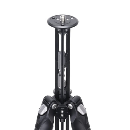 Falcam TreeRoot Quick Lock Travel Tripod (155cm Height, 5kg Load, F38 Quick Release)